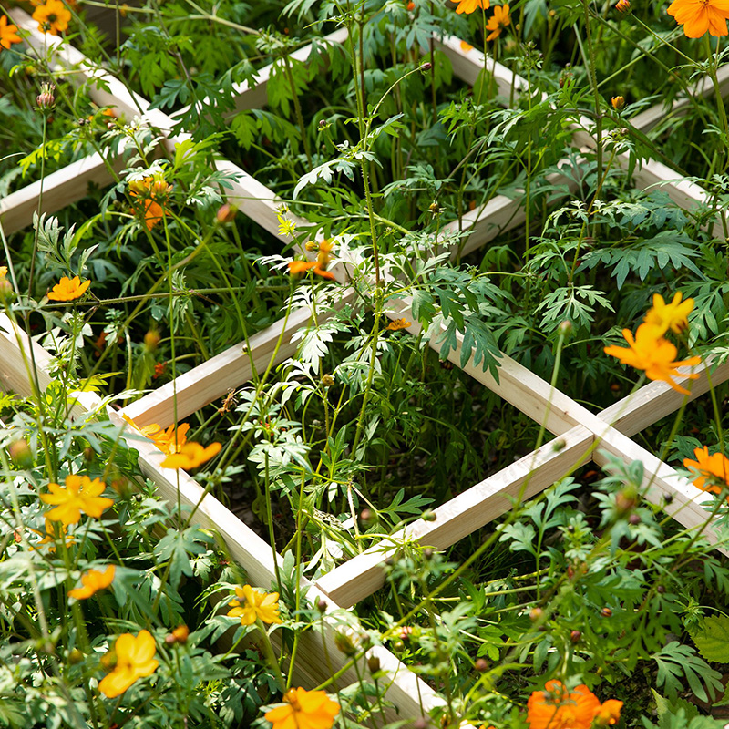 Caja de cama de jardín elevada de 3.9 pies x 3.9 pies con rejilla de crecimiento segmentada, material de madera para plantas y hierbas de patio trasero